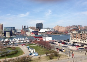 Harbor view from Federal Hill